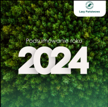Lasy Państwowe: To był rok ochrony przyrody, adaptacji lasów do zmian klimatu i trudnego dialogu społecznego