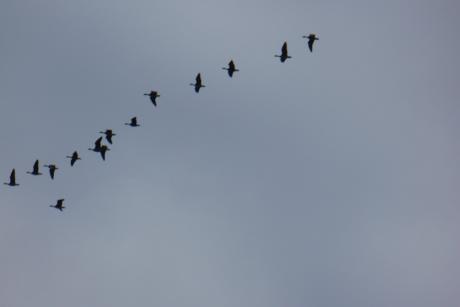 Jestem na pTAK- konkurs