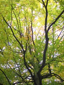 Uroczyska i miejsca pamięci