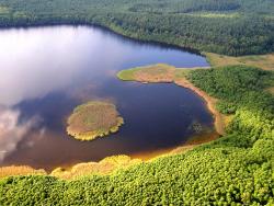 Jezioro Radoniewieckie (Kołackie)