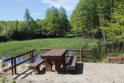 Przystanek - projekt "małej retencji"