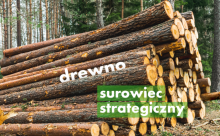 Drewno surowcem strategicznym.