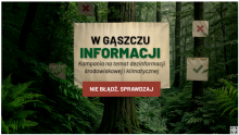 PBS dla Lasów Państwowych: 21% Polaków sądzi, że drewno można pozyskać nie wycinając drzew