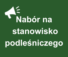 Nabór na stanowisko podleśniczego