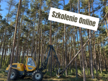 Zapraszamy do udziału w spotkaniu online poświęconym funkcjonalności platformy eZamawiający w ramach Dynamicznego Systemu Zakupów dla Usług Leśnych